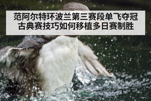 范阿尔特环波兰第三赛段单飞夺冠 古典赛技巧如何移植多日赛制胜