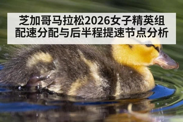 芝加哥马拉松2026女子精英组配速分配与后半程提速节点分析